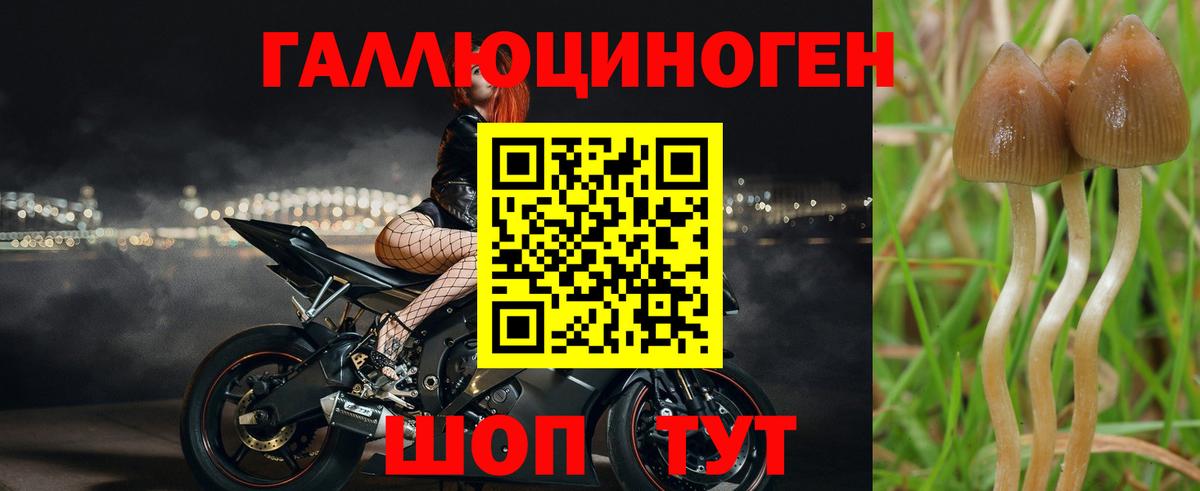 Псилоцибиновые грибы Cubensis  Вход с VPN  Новотроицк  Галлюциногенные грибы ЛСД 